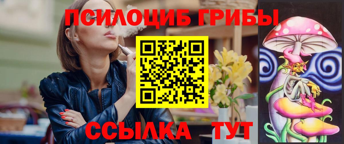 Псилоцибиновые грибы мицелий  Вход с VPN  где купить   Кинешма 